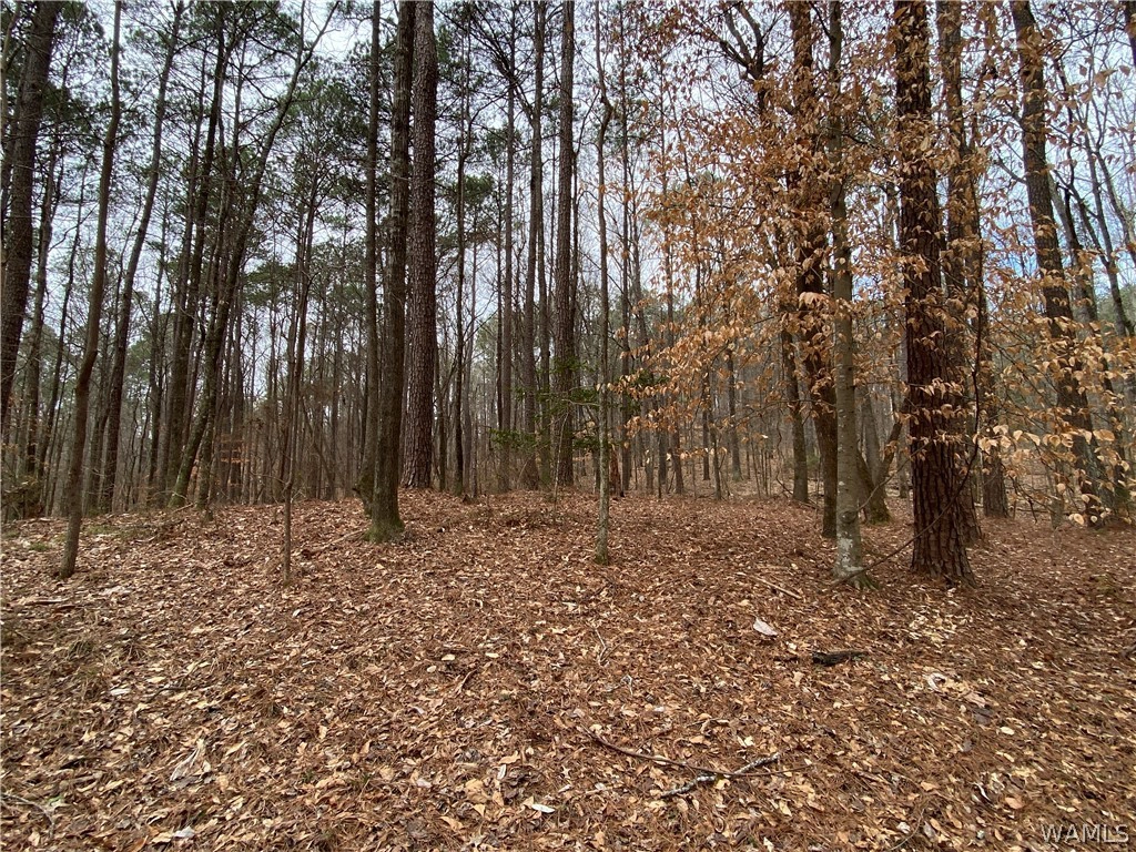 0 Olivewood Rd  