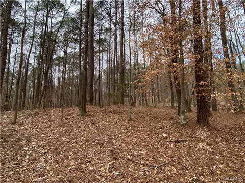 0 Olivewood Rd, Coker, AL 35452
