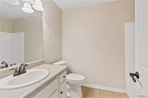16508 Chase Cir, Ralph, AL 35480 photo 18