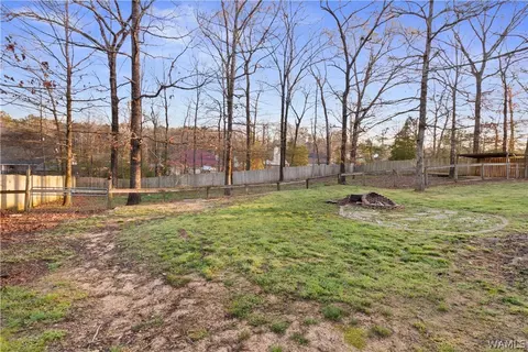 16508 Chase Cir, Ralph, AL 35480 photo 21