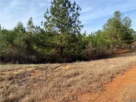 8 Watermelon Rd, Tuscaloosa, AL 35406
