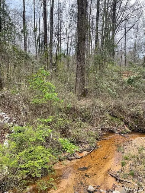 00 Kitchen Road Rd, Tuscaloosa, AL 35405