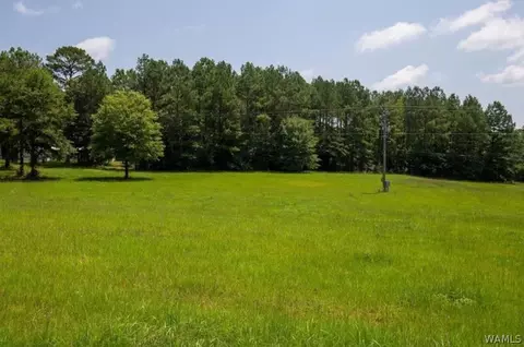 19601 Gorgas Rd, Northport, AL 35475