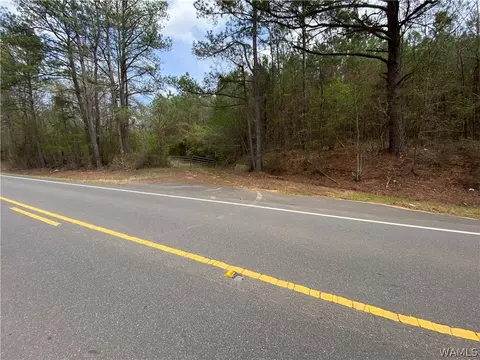 0 Hwy 17, Reform, AL 35481