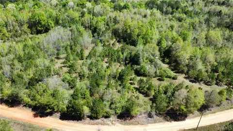 0 Richardson Rd, Other, AL 36426