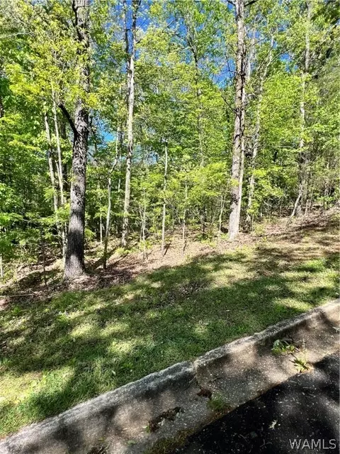 Lot 21 Juniper Lane, Tuscaloosa, AL 35404