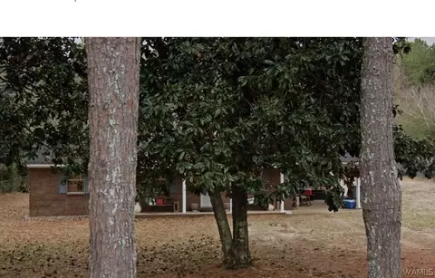 242 12th St SW, Gordo, AL 35466