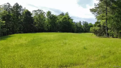 0 Marengo County Rd 44, Linden, AL 36748