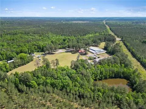 181 Sumter Academy Rd, York, AL 36925