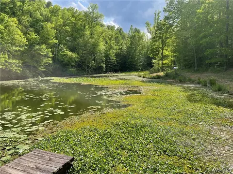 0 Warrior Cemetary Rd, Adger, AL 35006