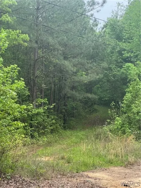 0 Sylvan Loop Rd, Fosters, AL 35463