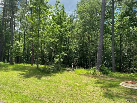 0 Legacy Pt #51, Northport, AL 35475
