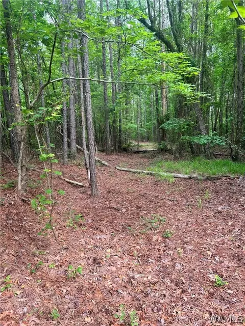 0 Piddlers Rd, Berry, AL 35546