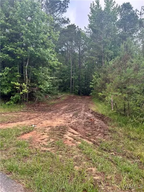 0 Cr-12, Fayette, AL 35555