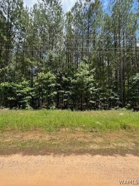 00 River Walk, Boligee, AL 35443