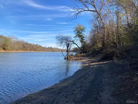 0 Glass House Rd, Fosters, AL 35463