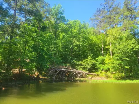15 Freemans Bend Rd, Northport, AL 35475