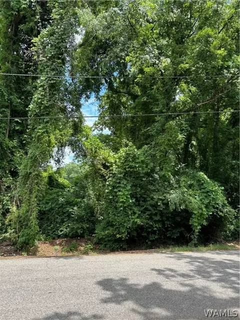 0 NE Pine Crest Rd, Tuscaloosa, AL 35404