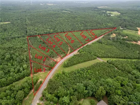 lot4 John Swindle Rd, Northport, AL 35475