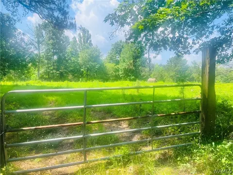 1950 Pine Grv, York, AL 36925