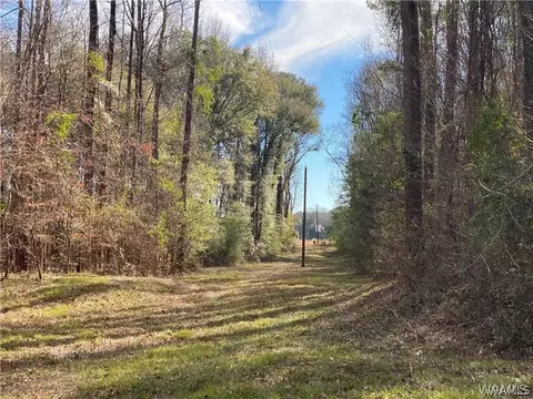 0 Cardinal Ln, Eutaw, AL 35462 photo 4