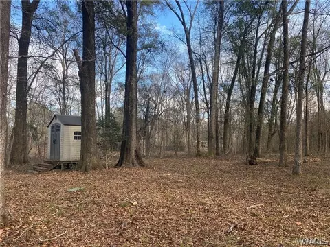 0 Cardinal Ln, Eutaw, AL 35462 photo 24