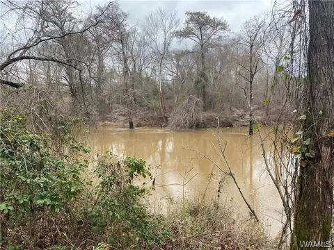 0 Cardinal Ln, Eutaw, AL 35462 photo 8