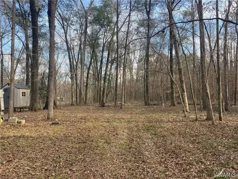 0 Cardinal Ln, Eutaw, AL 35462 photo 3