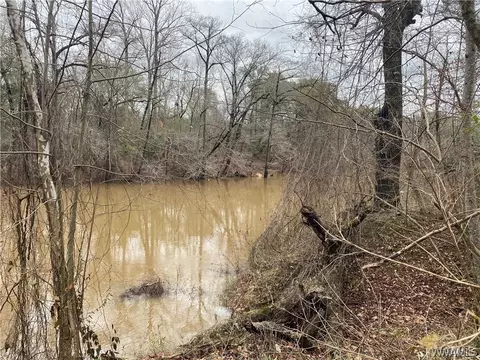 0 Cardinal Ln, Eutaw, AL 35462 photo 9