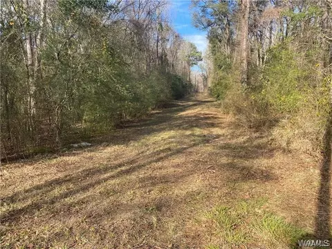 0 Cardinal Ln, Eutaw, AL 35462 photo 5
