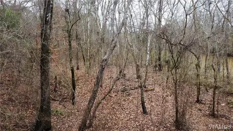 0 Cardinal Ln, Eutaw, AL 35462 photo 6