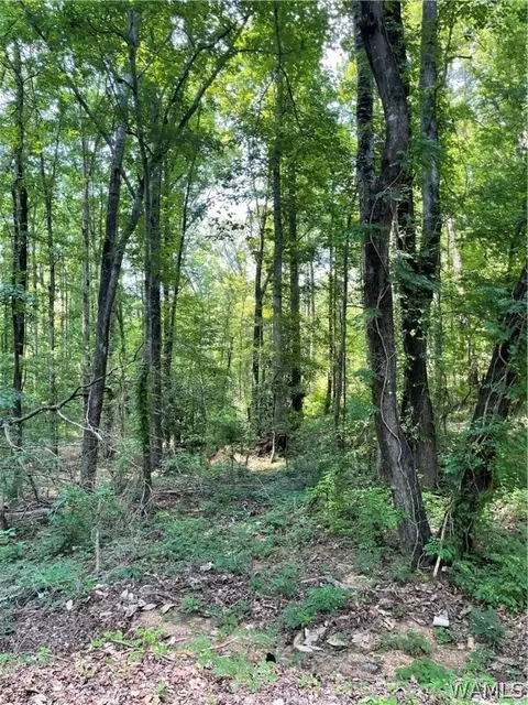 123456 Twin Oaks Rd, Northport, AL 35473