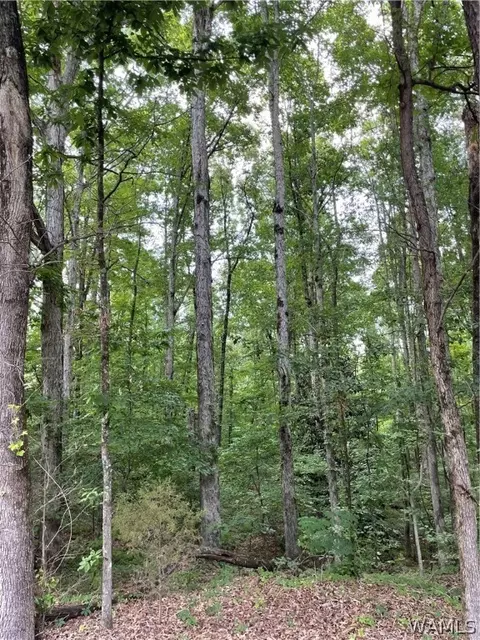 0 Camille, Northport, AL 35473