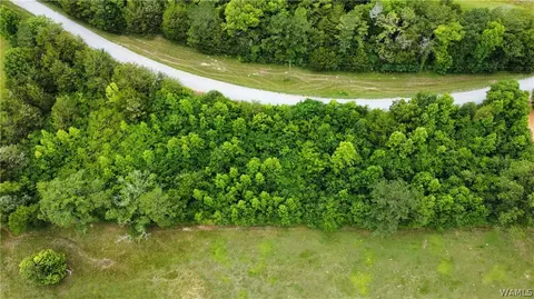 00 Julian Town Rd, Other, AL 36047