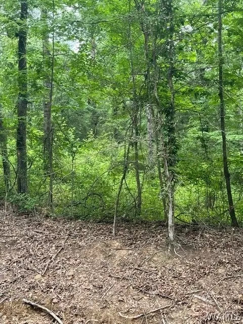 20935 Pleasant Grove Rd, Vance, AL 35490