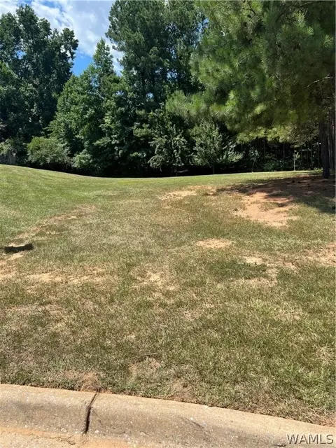 0 Vineyard Way, Northport, AL 35475