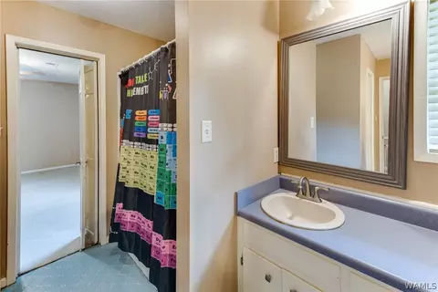 308 E Cahaba Ave, Linden, AL 36748 photo 31