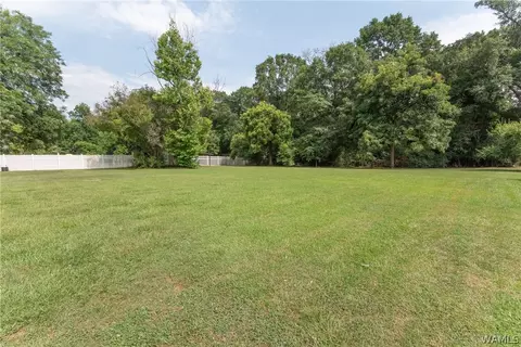 308 E Cahaba Ave, Linden, AL 36748 photo 49