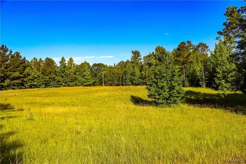 803 Webster Cir #1, Vernon, AL 35592