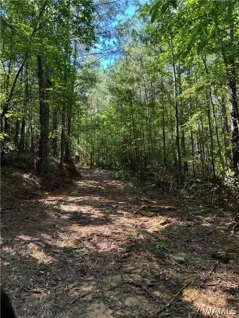 0 Preacher Lee Rd, Northport, AL 35476