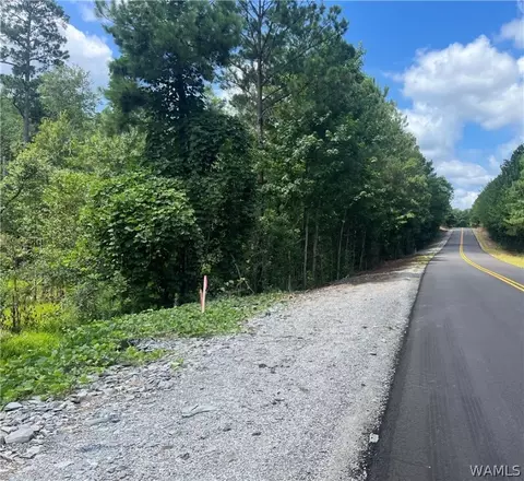 00 Preacher Lee Rd, Northport, AL 35476