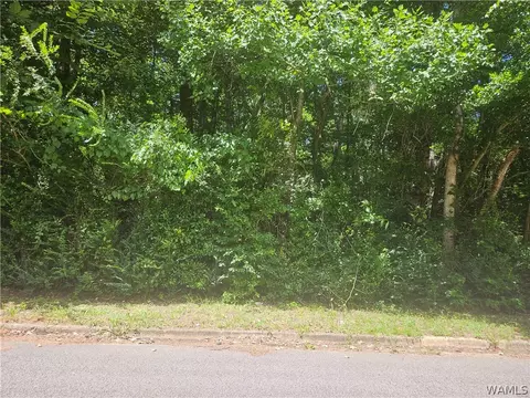 00 Northwood Lake Dr E, Northport, AL 35473