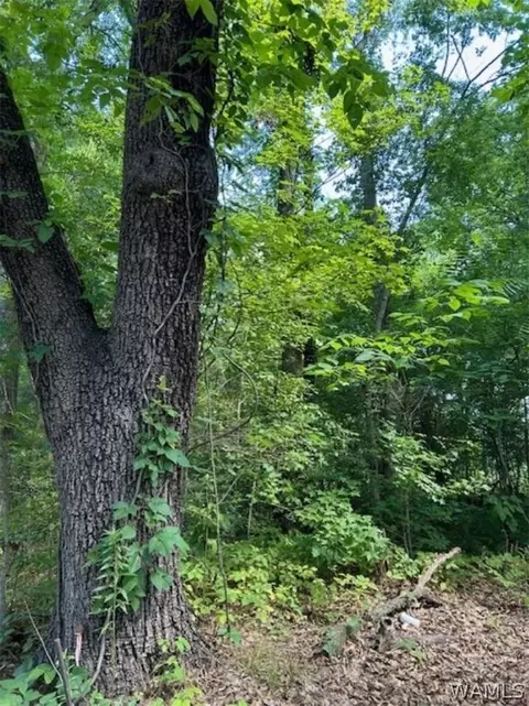 6587 Eastern Valley Rd, Mc Calla, AL 35111