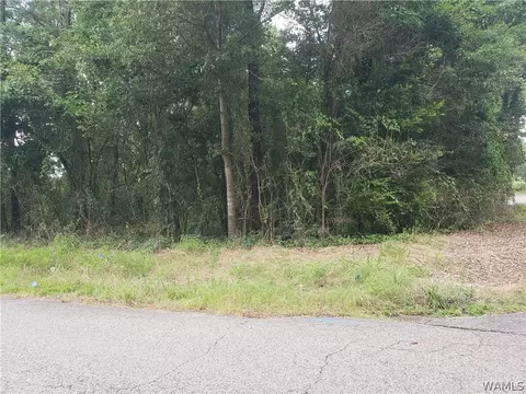 Nnnn E 13th Avenue, Tuscaloosa, AL 35405