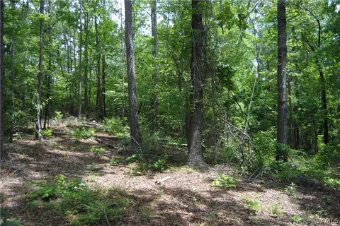 00 County Lake Rd, Sulligent, AL 35586 photo 8