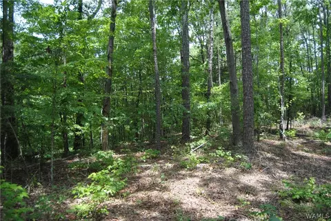 00 County Lake Rd, Sulligent, AL 35586 photo 10