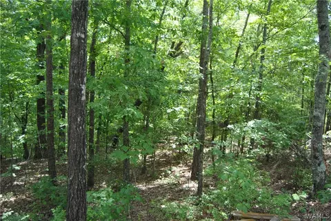 00 County Lake Rd, Sulligent, AL 35586