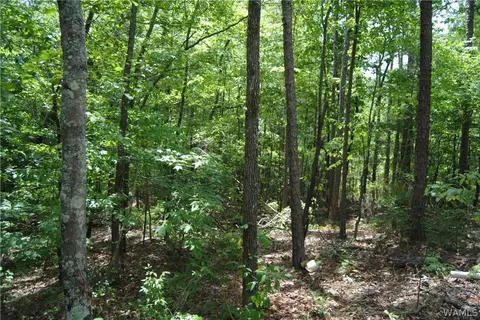 00 County Lake Rd, Sulligent, AL 35586 photo 6