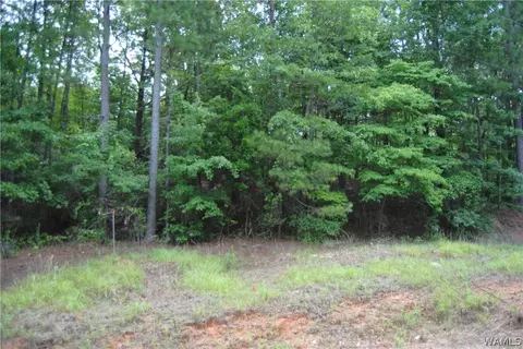 00 County Lake Rd, Sulligent, AL 35586 photo 9