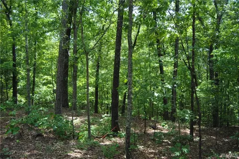 00 County Lake Rd, Sulligent, AL 35586 photo 11